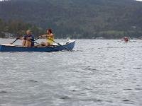 PICT5663 Ron Mueller and Ben Stevens pulling hard
