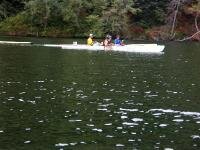 PICT5767 Cooling down