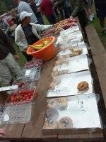 PICT5795 Race munchies