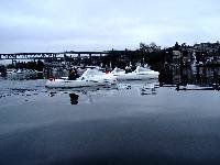 12300005 Glassy water