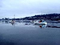 12300010 Heading south