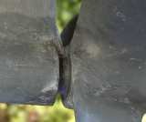 Cadence with weed cutter